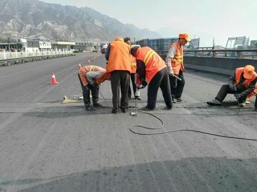 彭泽道路桥梁病害治理